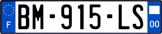 BM-915-LS