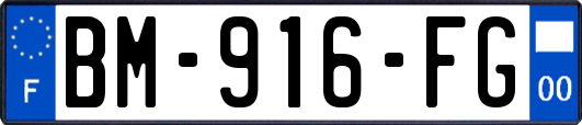 BM-916-FG