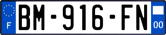 BM-916-FN