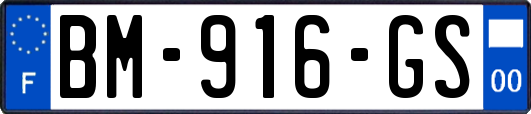 BM-916-GS