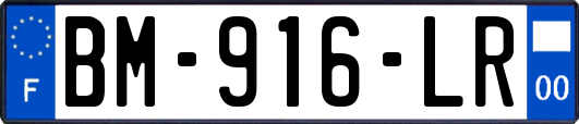 BM-916-LR