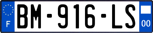 BM-916-LS