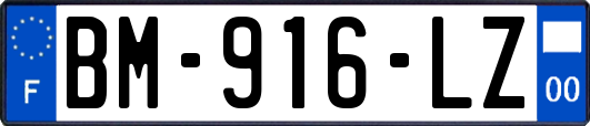 BM-916-LZ