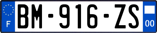 BM-916-ZS