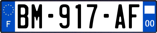 BM-917-AF