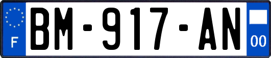 BM-917-AN