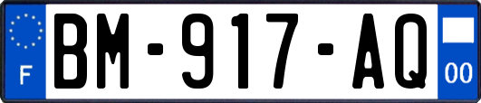 BM-917-AQ