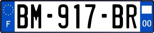 BM-917-BR