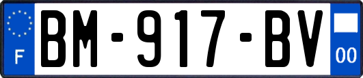 BM-917-BV