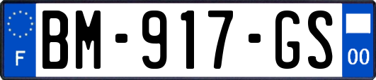 BM-917-GS