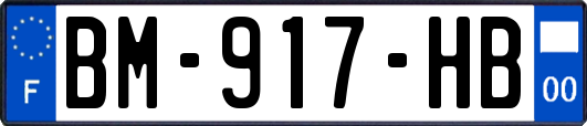 BM-917-HB