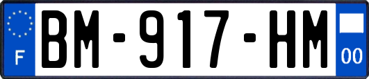BM-917-HM