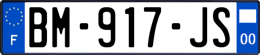 BM-917-JS