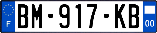 BM-917-KB