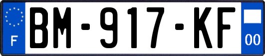 BM-917-KF