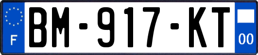 BM-917-KT