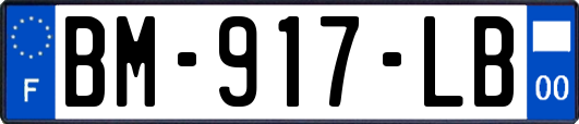 BM-917-LB