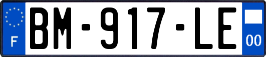 BM-917-LE