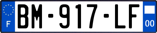 BM-917-LF