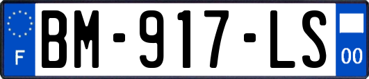 BM-917-LS