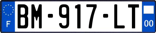 BM-917-LT