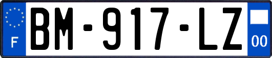 BM-917-LZ