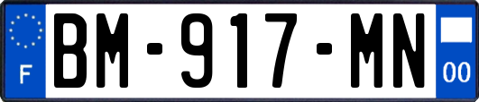 BM-917-MN