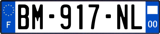 BM-917-NL