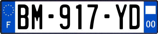 BM-917-YD