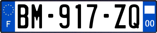 BM-917-ZQ