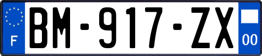 BM-917-ZX