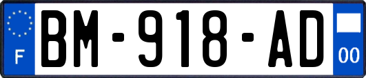 BM-918-AD