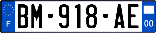 BM-918-AE