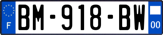 BM-918-BW