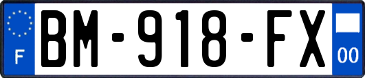 BM-918-FX