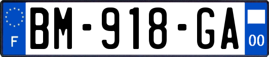 BM-918-GA