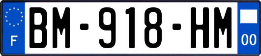 BM-918-HM