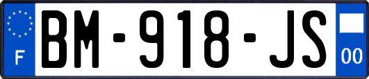 BM-918-JS