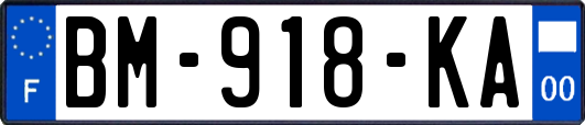 BM-918-KA