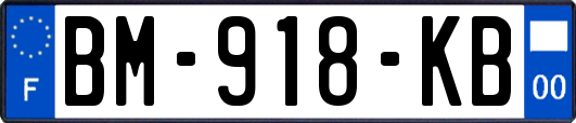 BM-918-KB