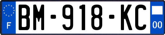 BM-918-KC