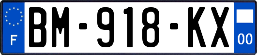 BM-918-KX