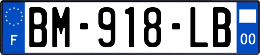 BM-918-LB