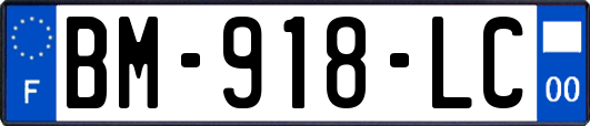 BM-918-LC