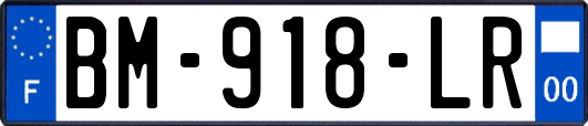 BM-918-LR