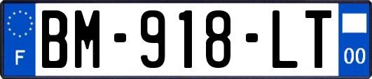BM-918-LT