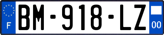 BM-918-LZ