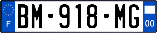 BM-918-MG