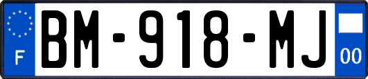 BM-918-MJ