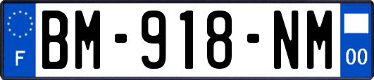 BM-918-NM